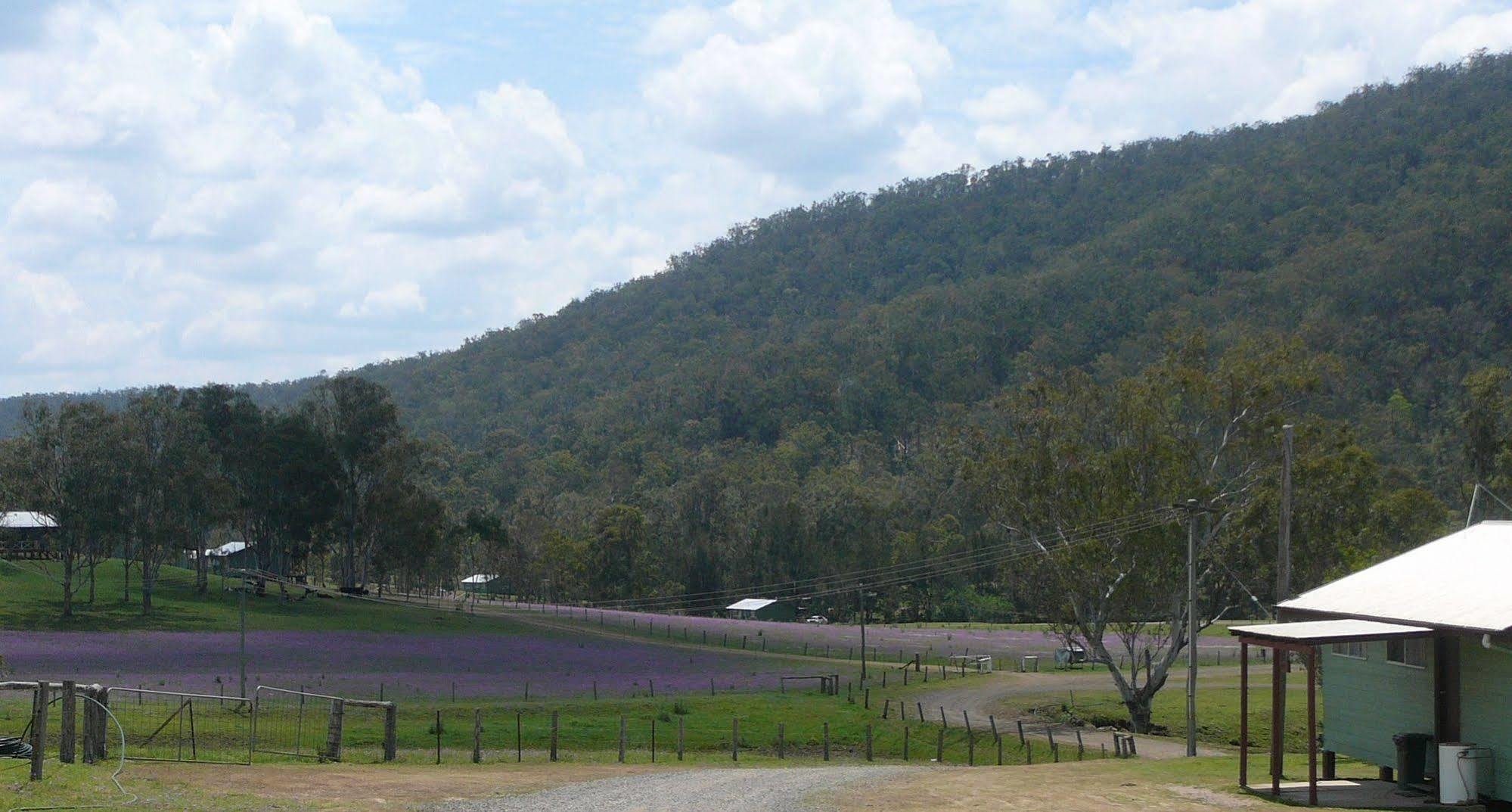 Bestbrook Mountain Farmstay Maryvale Exterior photo